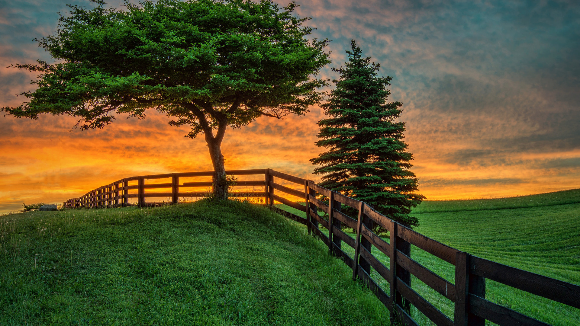 遠齊測試請勿刪除